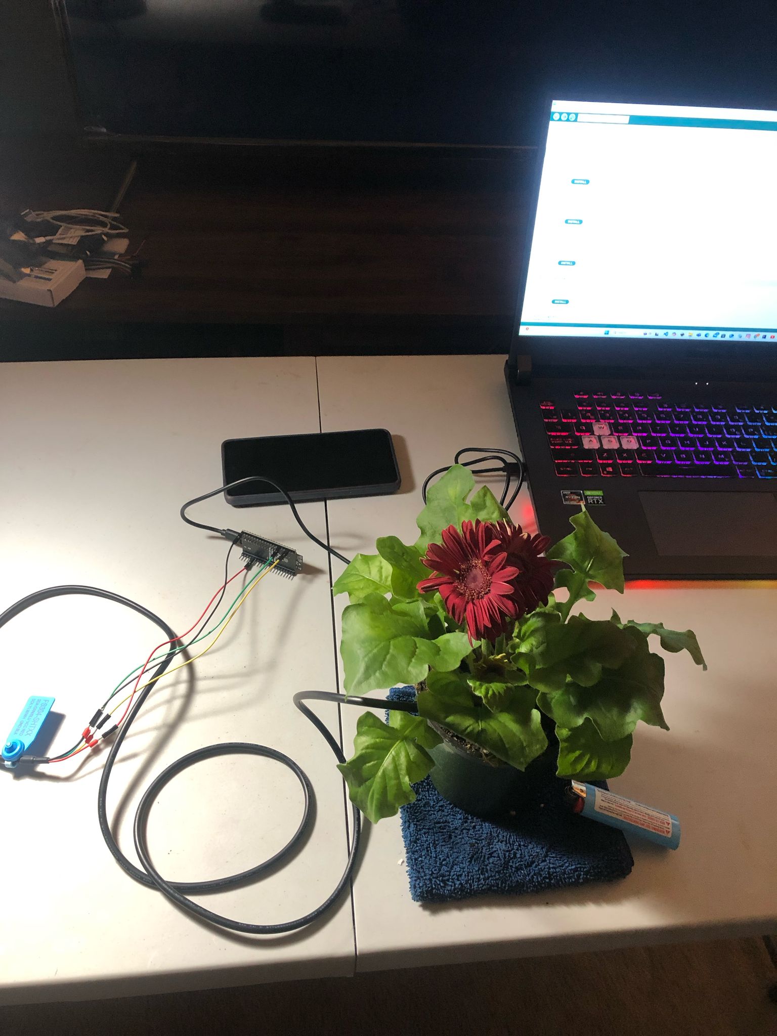 Project Image 3